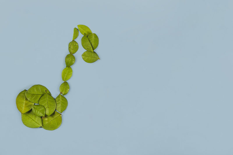 L'image représente une note de musique battit de feuilles végétales qui fait rappel aux enjeux de développement durable, une des valeurs défendue par La Luciole.